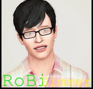 RoBiSimmer