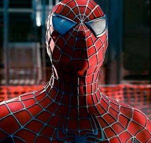 Spider TV
