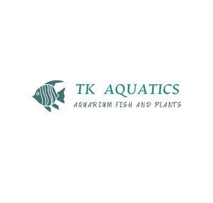 Tk Aquatics