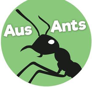 Aus Ants