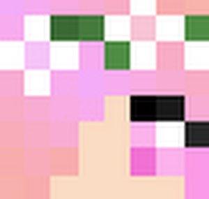 FairyKairi Plays