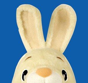 Harry The Bunny - Videos For Kids