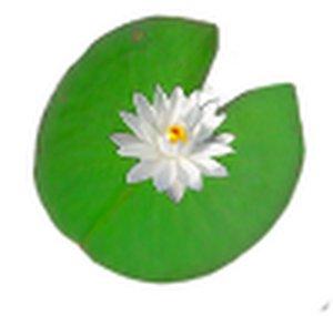 Naturea