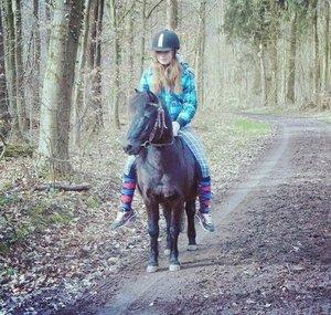 PerfectPonyLove