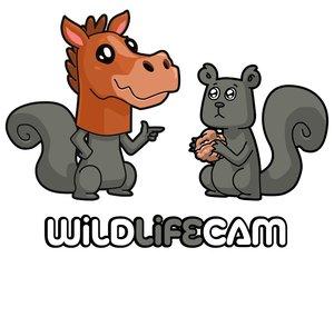 wildlifecam