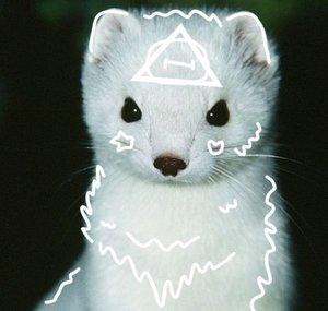 yoyonoodley 
