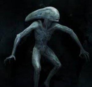 Yugguy