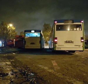 Autobusem po Szczecinie