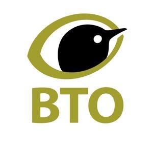 BTOvideo