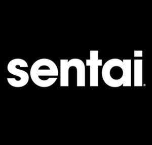 Sentai