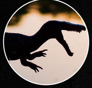 Tom Jurassic