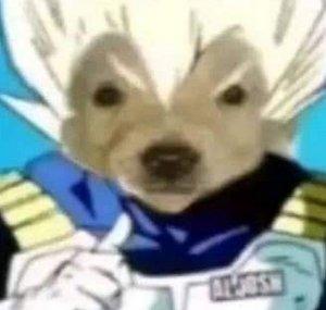 TTG08