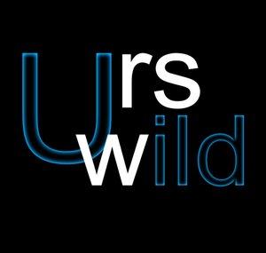 Urs Wild