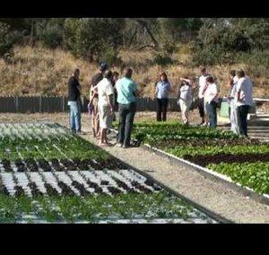 backyardaquaponics
