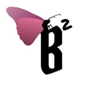 Bsquared