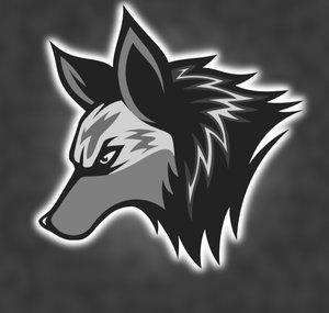 Fwyercsgo