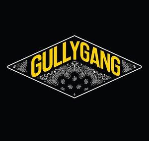 GULLY GANG