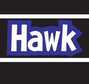HawkGame
