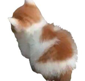 Me Meow