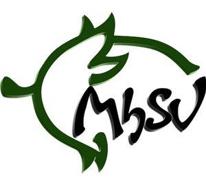 MhSV Multigaming