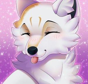 sierrewolf