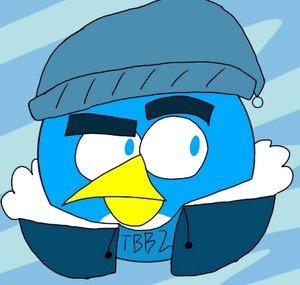 TheBaldwin Birds2