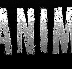 Animal BuzineZ