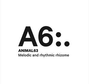 Animal63