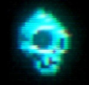 Digital Bones