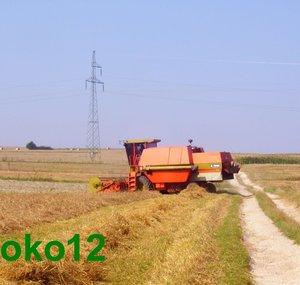 isroko12