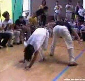 MESTRE CAMALEAO
