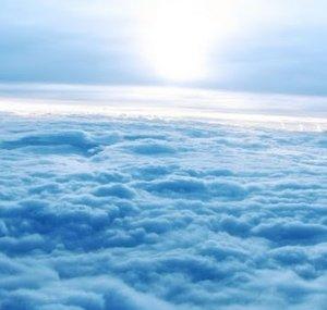 Blue Wonder