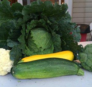 Garden State Gardener 