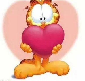 garfield385