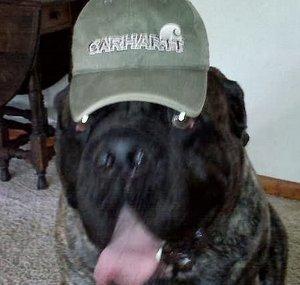 GunznGear
