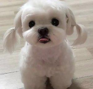 Logi