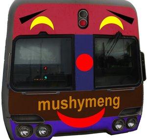 Mushymeng Train (Platform Number 4)
