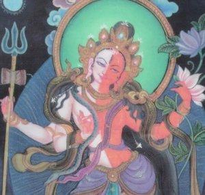 Shakti Lila