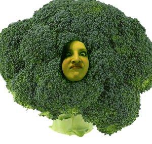 ShelBris