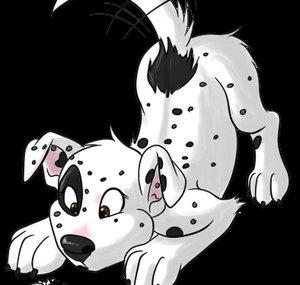 suvithepitbull