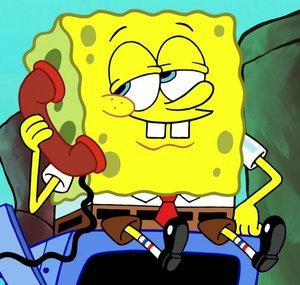 WhoBob WhatPants
