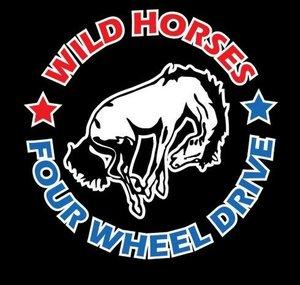 Wild Horses Off-Road