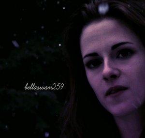 BellaSwan259