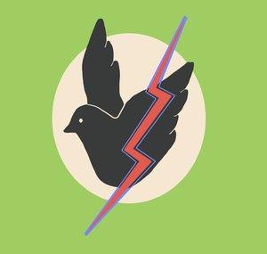 Bolt the Birds