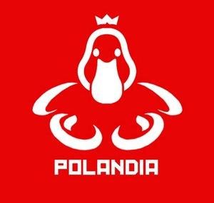 Dzieli nas piłka