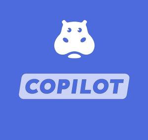 Finanzfluss Copilot