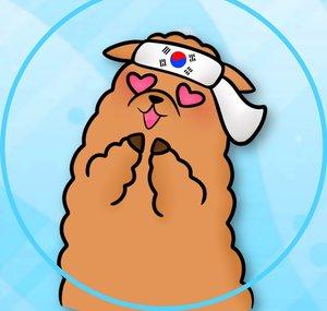 Las Alpacas Kpoperas