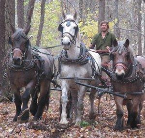 Logging With Horses.