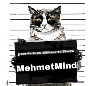 Mehmetmind2