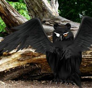 ThePhantomOwl